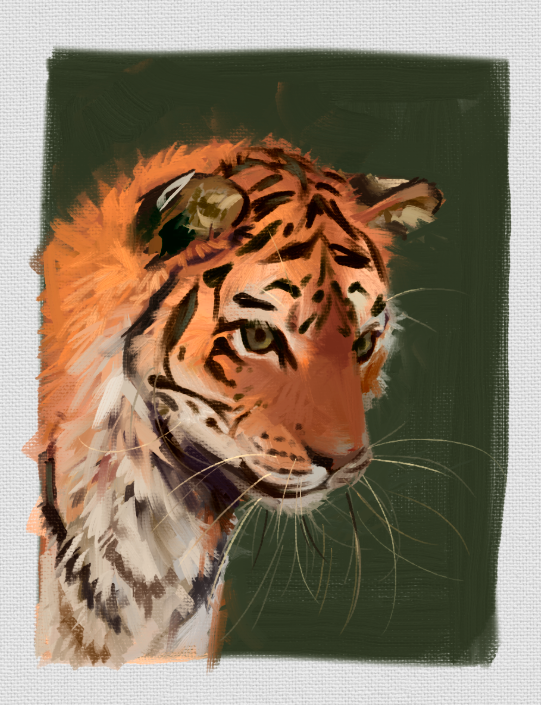 i have not posted art here in a long time here is a study i did of a tiger image...