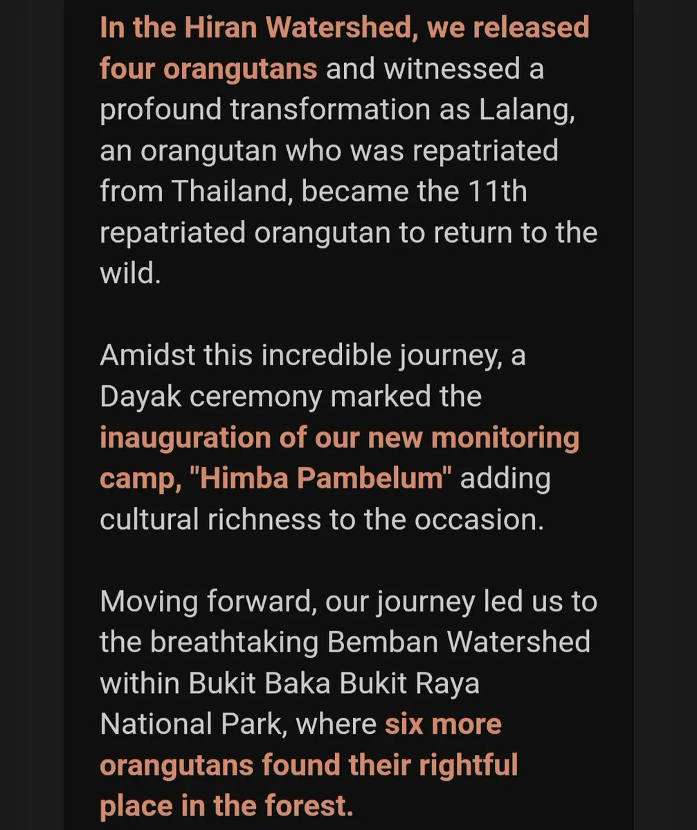 Welcome to Bali - Indonesia, lovebirds 🥰💙
<a href="/imdanielpadilla/">Daniel Padilla</a> <a href="/bernardokath/">KATH 🐘</a>