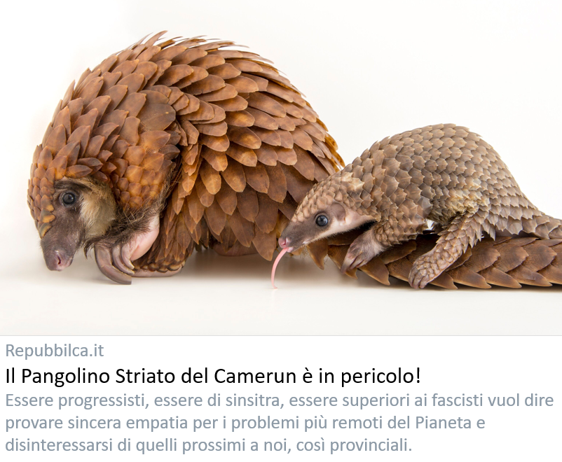 repubbilca's tweet image. Società. Commuoversi per l'estinzione del Pangolino Striato del Camerun e non provare alcuna partecipazione per il vicino di casa che ha perso il lavoro. Questa è la natura superiore del Progressista, tetragono alla fascista empatia provinciale verso il prossimo. [di Bianca Snob]