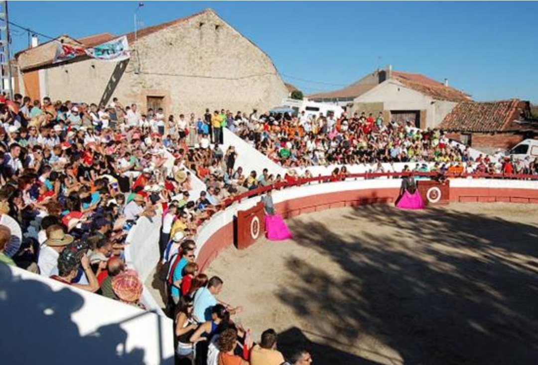 Javier Salamanca tweet media