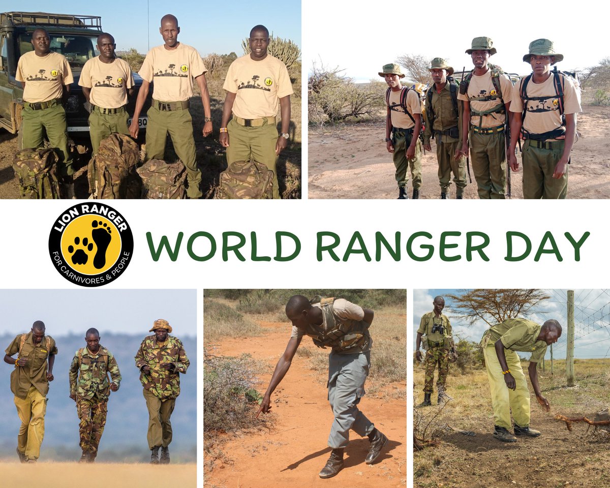 LionLandscapes's tweet photo. Today, we express our heartfelt appreciation and gratitude to the remarkable Laikipia Lion Rangers. These extraordinary men and women go above and beyond to safeguard the majestic lions and other wildlife in the Laikipia landscape. #WorldRangerDay  #LionRanger #biodiversity https://t.co/x1FKFEWMIh