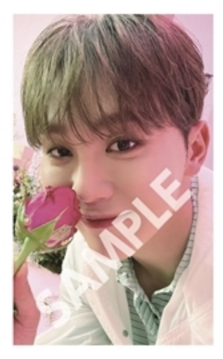 ode4boo's tweet photo. SEUNGKWAN KULAY ROSAS ANG BUKAS PC (2) https://t.co/heQYSlUHe8