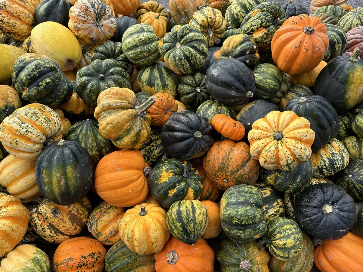 DailyMarvinMey's tweet photo. I'm ready for #autumn 🍁 https://t.co/01KKKPCsuh