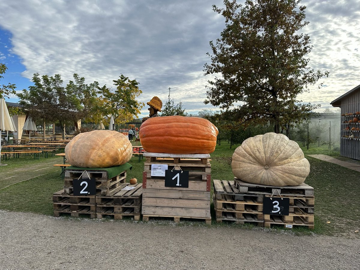 DailyMarvinMey's tweet photo. I'm ready for #autumn 🍁 https://t.co/01KKKPCsuh