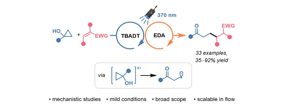 Interested in cyclopropanols, EDA and TBADT as SET photocatalyst? Then I am really excited to present our project in ChemRxiv. Many thanks to Nastya aka @betterlessthen1, @DzmitryKananov1 and the other authors! #photochemistry #TBADT #flowchemistry go.shr.lc/3KlNnw2