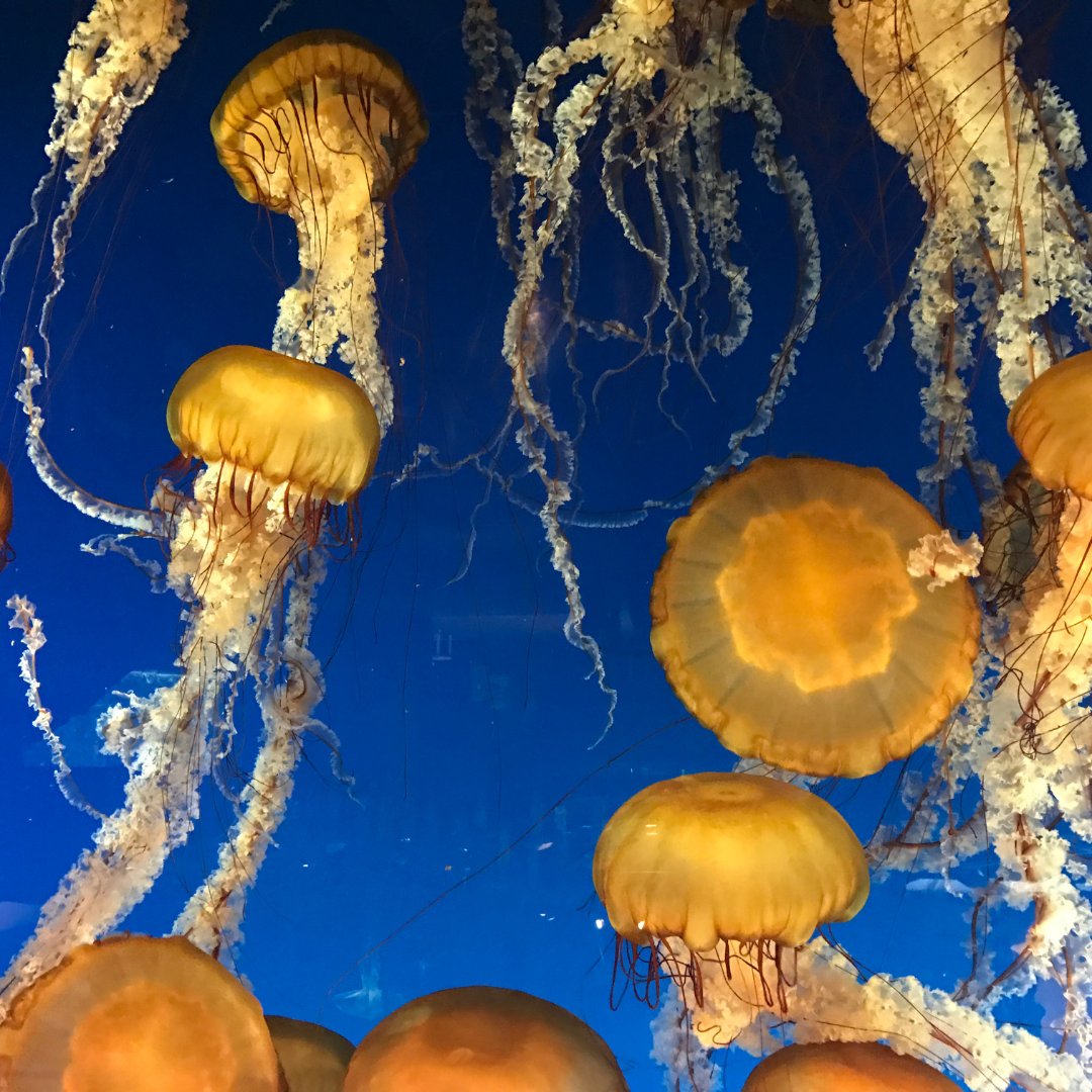 Switch2Zero tweet media