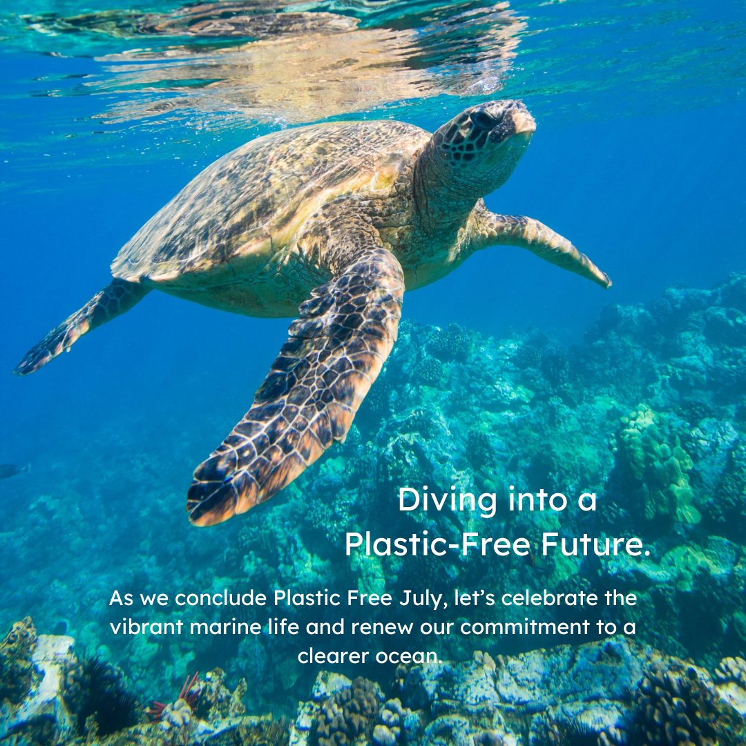 Switch2Zero tweet media