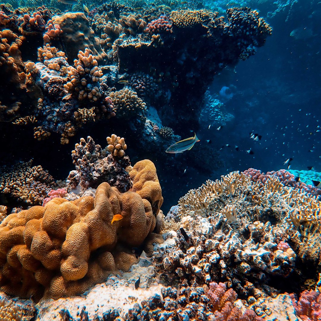 Switch2Zero tweet media