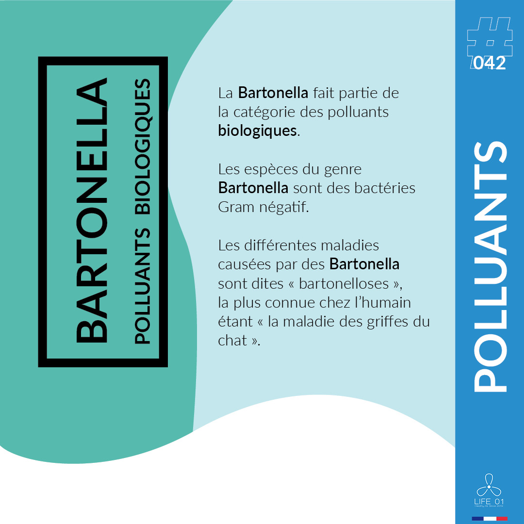 Polluants #042

Les espèces du genre Bartonella sont des bactéries Gram négatif. Les différentes maladies  sont dites « bartonelloses », la plus connue chez l'humain étant « la maladie des griffes du chat ».

Respirez informés avec <a href="/Life01QAI/">Life 01</a> !

#IAQ #QAI #Life01 #Pollution