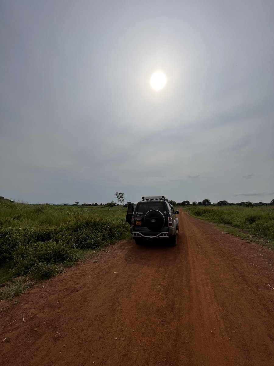 Mi sembra assurdo pensare che sia esistita una versione di me che non conosceva queste terre