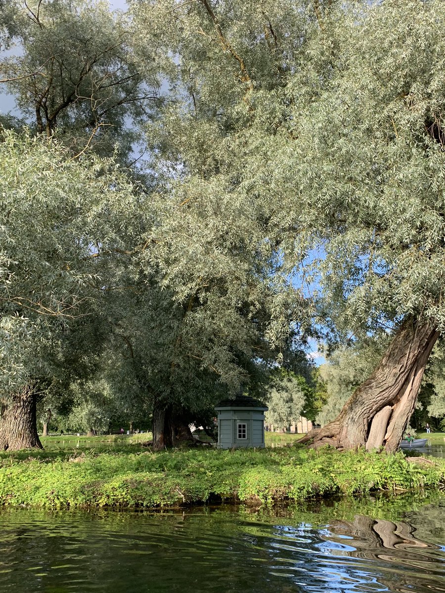 Shinra.sol🟢 tweet media