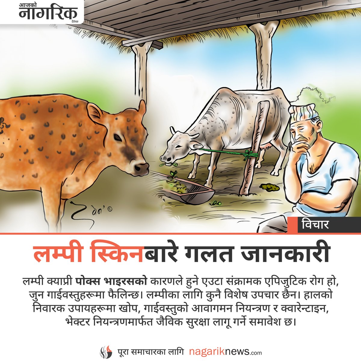 nagarik_news's tweet image. लम्पी स्किनबारे गलत जानकारी

लम्पी क्याप्री पोक्स भाइरसको कारणले हुने एउटा संक्रामक एपिजुटिक रोग हो, जुन गाईवस्तुहरूमा फैलिन्छ।

🌐 पूरा समाचारको लागि : nagariknews.nagariknetwork.com/opinion/124959…

#nagariknews  #nagarikdaily  #Lumpyskin  #cows #nepal  #np