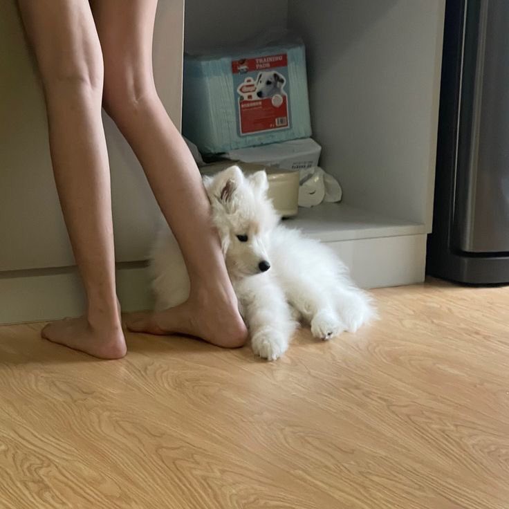 takemybear 🐶 tweet media
