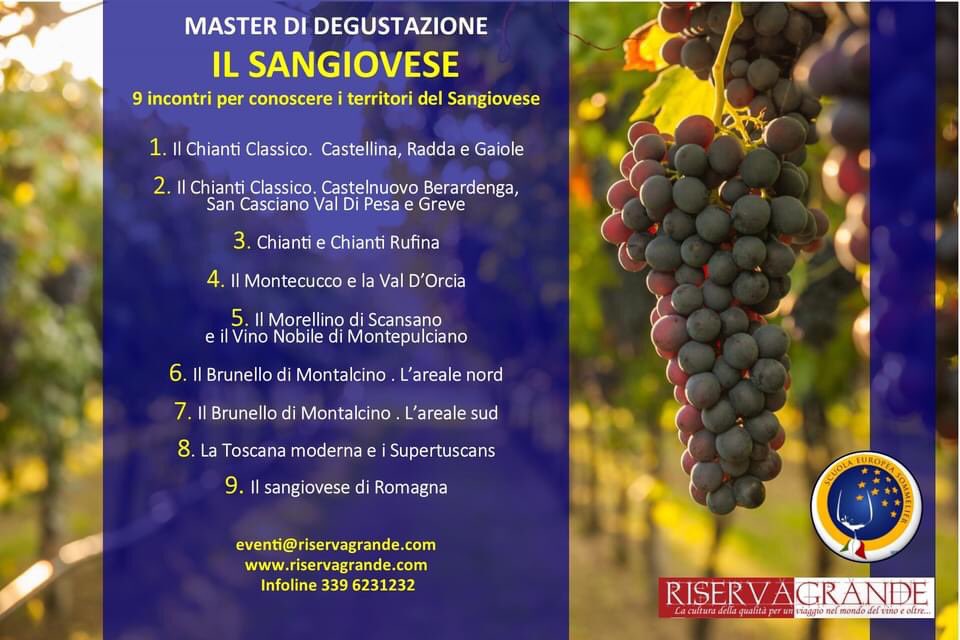 RiservaGrande's tweet photo. Master sul Sangiovese di 9 lezioni 2024. Stay tuned con Riserva Grande Academy! #riservagrandeacqdemy #staytuned #quellocheamo #vino #sangiovese #master #scuolaeuropeasommelier https://t.co/75QePv6Q2s