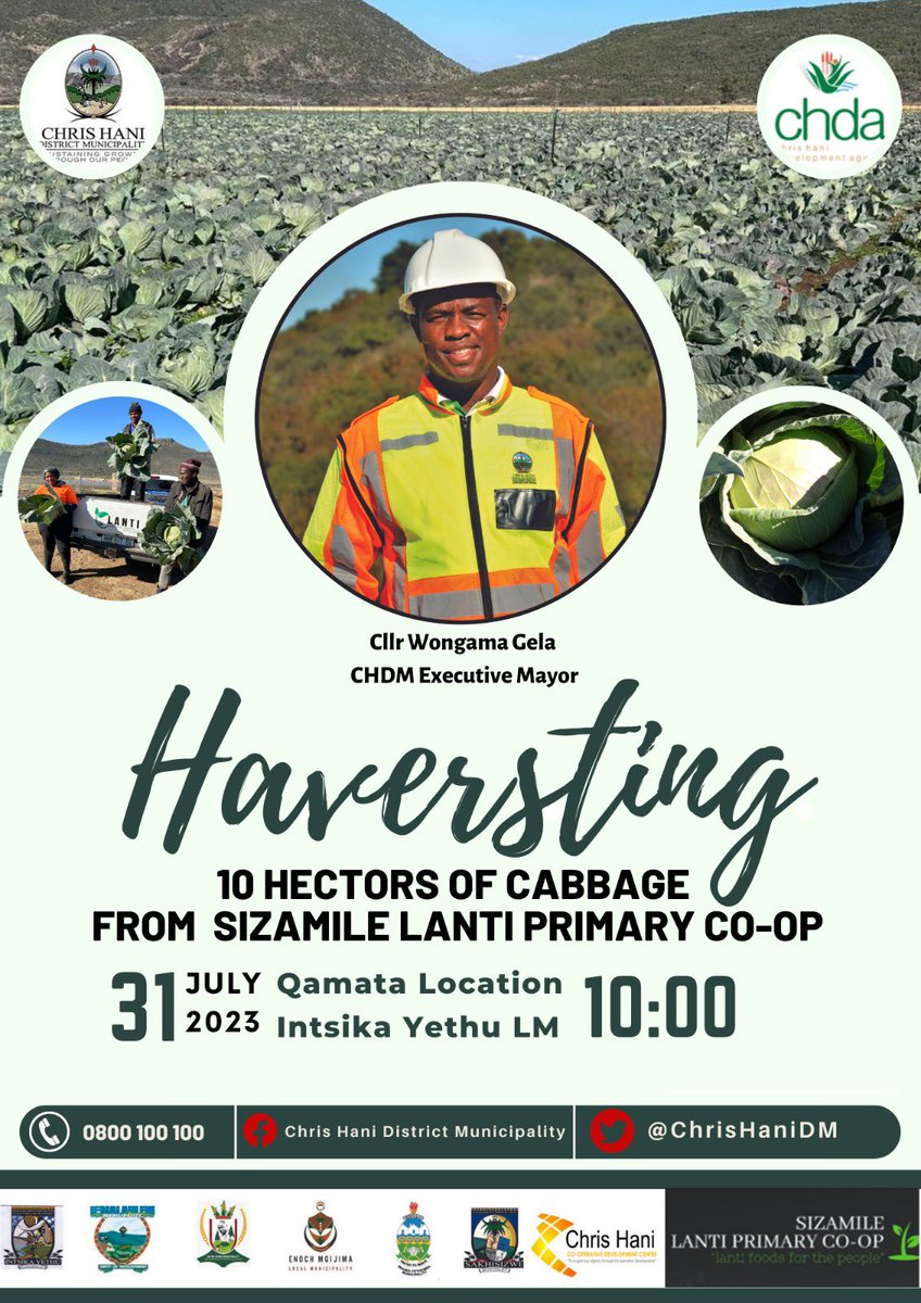WongamaGela's tweet photo. Itβs Harvesting Day! #CHDMAtWork
Today we are in @Intsika_Yethu LM https://t.co/YvqO1DXp6r