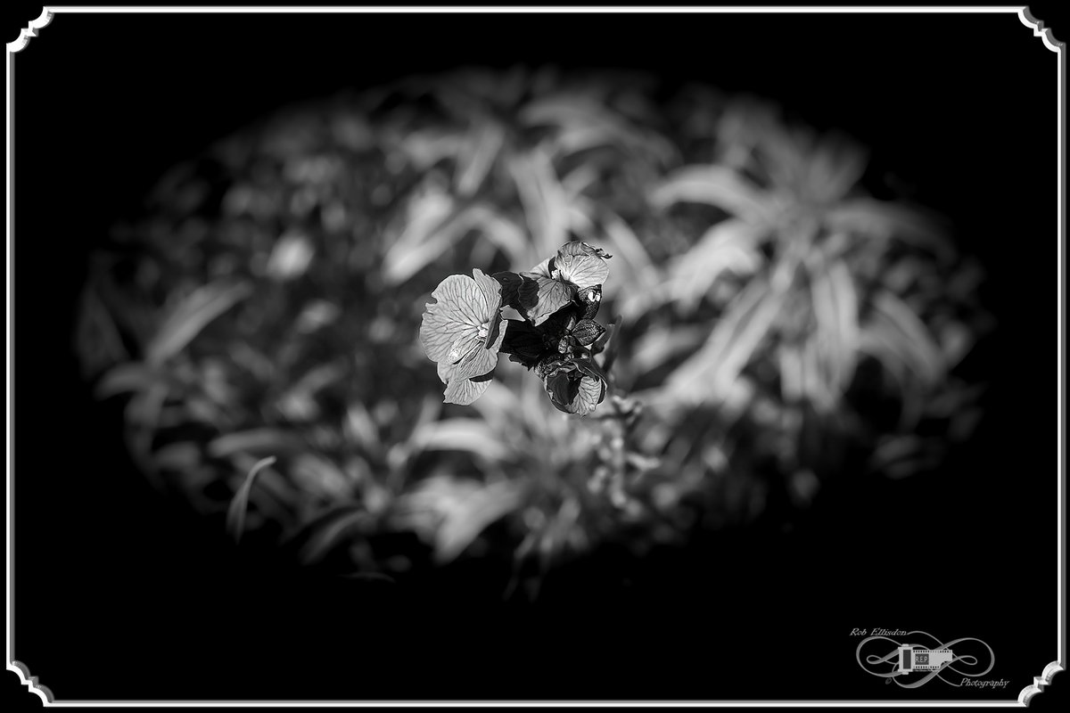 REPhotography59's tweet photo. Playing Around With The Fujifilm X100F
©Rob Ellisdon Photography™
https://t.co/iNrHhLmGhi https://t.co/eEwAEQJcTP