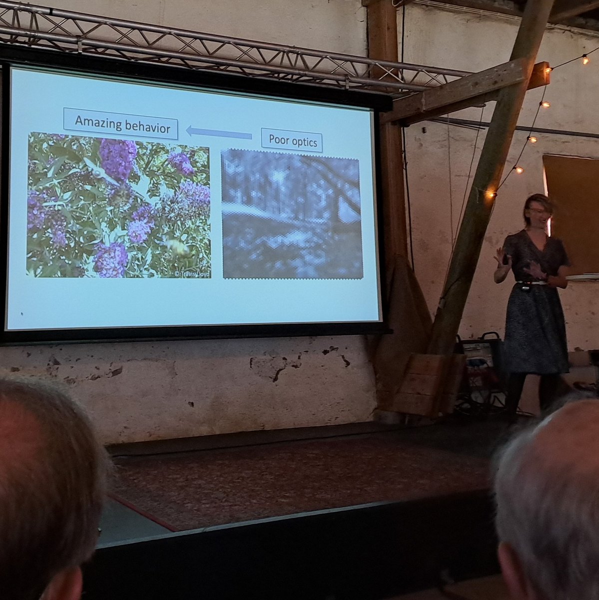 Cataglyfilosofi's tweet photo. @neuroethology @BeetzJerome Karin Nordstrรถm @puh23 kicks off the #ICIV2023 Monday with a plenary lecture on "Target detection in the #hoverfly visual system" - a "roller coaster talk" covering #TargetNeurons #Parenthood #WomenInScience #ReceptiveField #SpikingProbability #MentalHealth #VirtualReality https://t.co/e8iJe5T68Y
