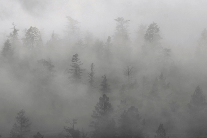 ODID (@odid_qeh) on Twitter photo The concept of 'resilience' features widely in development scholarship and in policy responses to climate crisis, but do we know what we mean by it?
In the latest post to the ODID blog, <a href="/AlbertSanghoon/">Albert Sanghoon Park</a> outlines his new research
qeh.ox.ac.uk/blog/climate-r… The concept of 'resilience' features widely in development scholarship and in policy responses to climate crisis, but do we know what we mean by it?
In the latest post to the ODID blog, <a href="/AlbertSanghoon/">Albert Sanghoon Park</a> outlines his new research
qeh.ox.ac.uk/blog/climate-r…