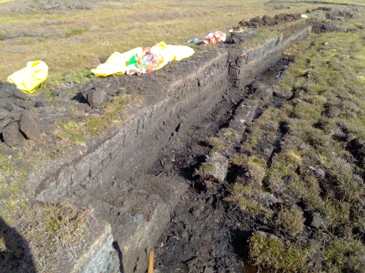 steventod1's tweet image. More #peats drying on the #moor because #winteriscoming