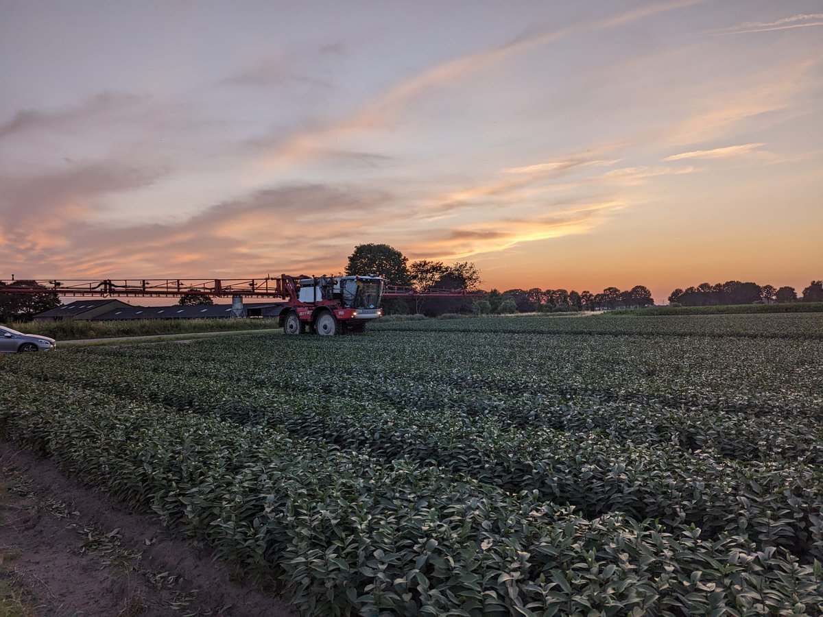 Testing in the field @ Timmermans Agri Service

Precision spraying based on task maps of 25cm x 25cm. And that, with a beautiful sunset!

#LeapFarmer #BBLEAP #SprayTechnology #FarmingOnPlantLevel #SustainableFarming