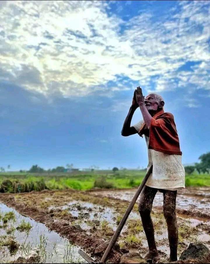 c_hardeep_singh's tweet photo. उजड़ी हुई फसलें , टूटे हुए सपने और रोता हुआ किसान ...
ऐ बारिश तेरे इंतजार में कहीं जीने की उम्मीद भी ना छूट जाए...#kisanektazindabaad https://t.co/N5f2M5iQKP