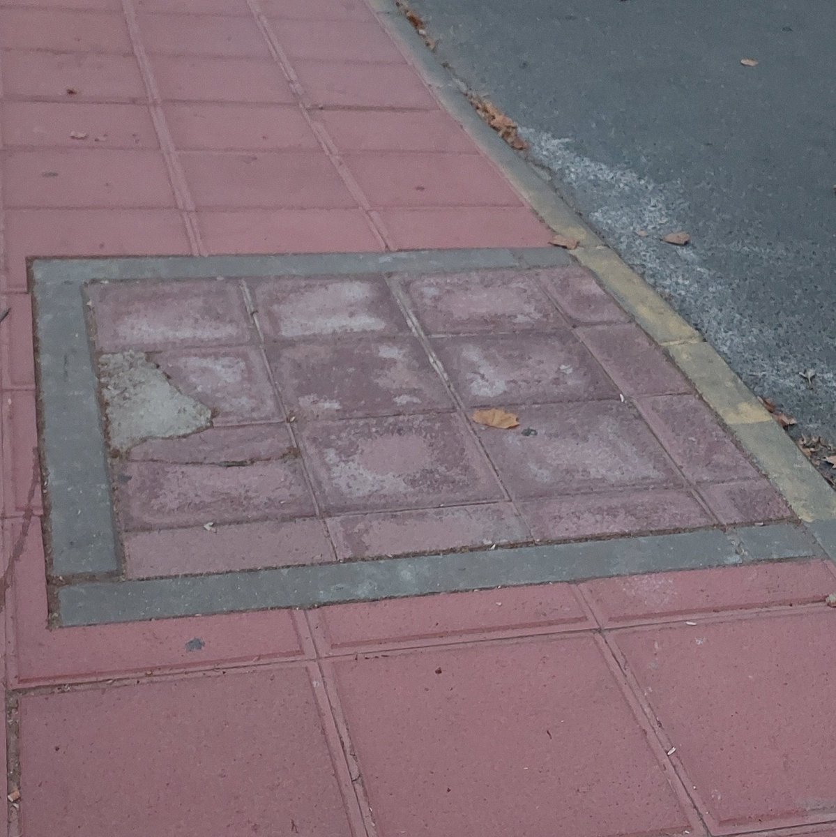 Cuando las olas de calor están a la orden del día, lamentablemente, #LaAntilla la preciosa playa de #Lepe está llena de #alcorquevacio . Se pueden encontrar varios en la avenida Costa de la Luz. #RepoblarLaAntilla