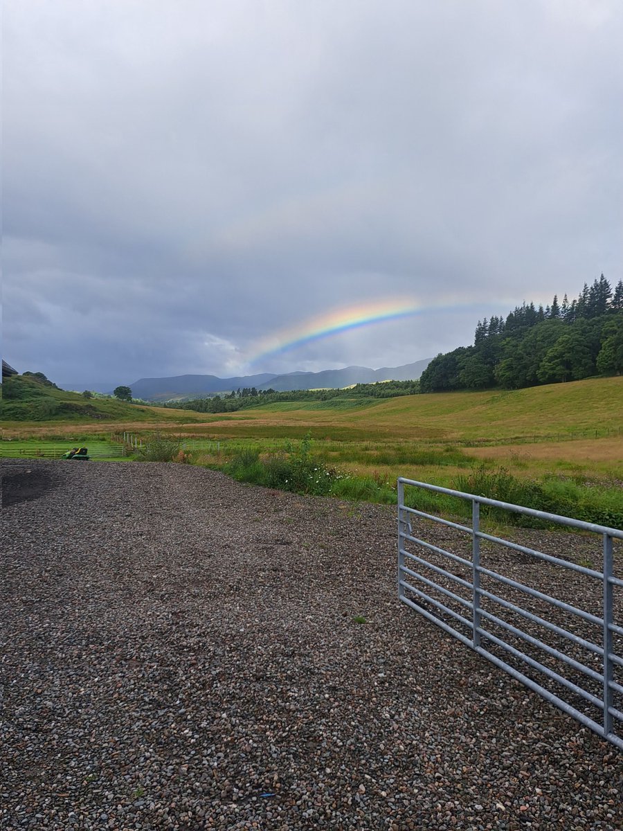 MarekPeruta tweet media