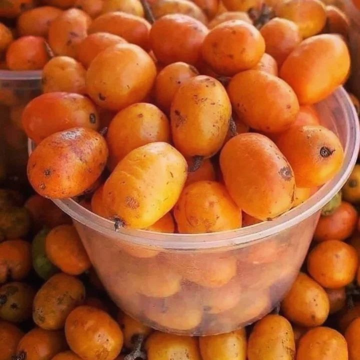 Imágenes que tienen aroma. 
Así de bueno debe ser nuestro inicio de semana. La jornada comenzó. Buenos dias