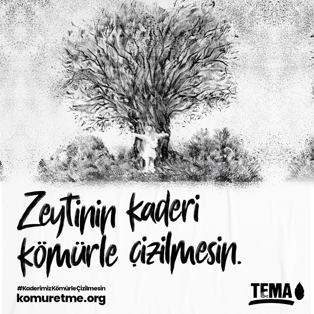 temavakfi's tweet photo. Zeytinin Kaderi Kömürle Çizilmesin❗

Zeytin ağaçlarımız, kömürlü termik santraller ve kömür madenciliği için yok ediliyor!

Barışın, bilgeliğin ve umudun sembolü zeytin ağaçlarının gıdamızın güvencesi, sağlığımızın teminatı, doğal ve kültürel mirasımız olduğunu bir kere daha hatırlatıyoruz!

Zeytin ağaçlarımızı korumak için kömürlü termik santrallerden ve kömür madenciliğinden vazgeçmeliyiz!

#AkbelenOrmanınıVermeyeceğiz #KaderimizKömürleÇizilmesin

Kömür madenciliği hakkında daha fazla bilgi için;👉🏼 https://t.co/gbR6RyDPep

🌿Gönüllü destekleri için @ArthurIstanbul  'a teşekkür ederiz 🙏🏼