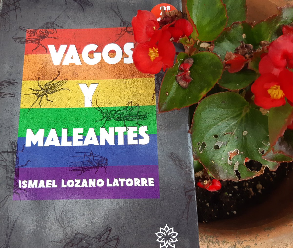 📚 He devorat d'una tirada el llibre d'Ismael Lozano Latorre (<a href="/LaSirenadeFamar/">Ismael LozanoLatorre</a>). A través d'un supervivent, ja ancià, coneixem la realitat que s'hi va viure, amb especial cruesa cap als gais. Ficció documentada, amb capítols duríssims, però d'una enteresa infinita. Llàgrimes.
⬇️