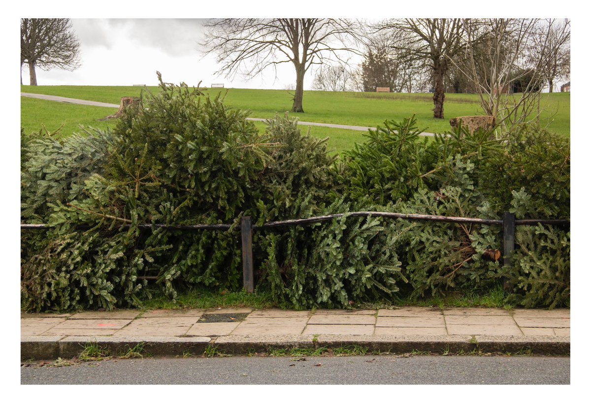 Shootaaroncoe's tweet photo. Here is a photo from a project I shot at the start of the year. A collection of discarded Christmas Trees around SE London. You can see the whole project on my Instagram. #aaroncoe #shootaaroncoe #photo #photography #london #Documentaryphotography #christmas #tree #abandoned https://t.co/WYljNOj9cH