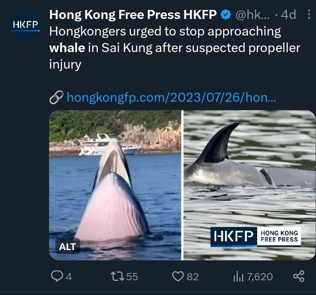 tomgrundy's tweet photo. A very Hong Kong environmental story in three acts.

See also, the city's treatment of its pink dolphins... https://t.co/MAY4EsOgSu https://t.co/xetXdCPHAj