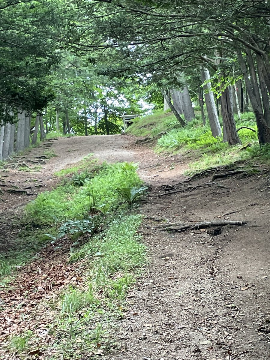 山王神社である‼︎