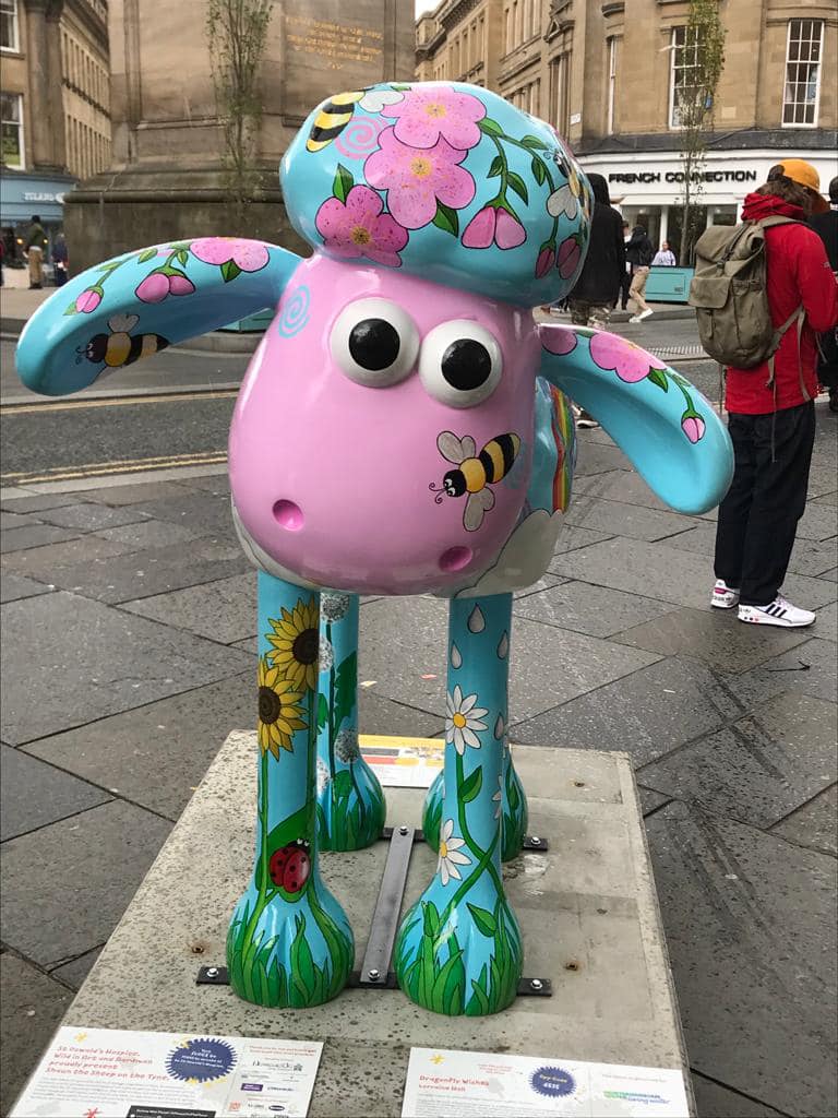 Just look at that little face.😍

We’re proud to be part of the @shaunonthetyne art trail and can’t wait for everyone to meet the sheep we’ve sponsored in support of <a href="/stoswaldsuk/">St Oswald's Hospice</a>.🐑