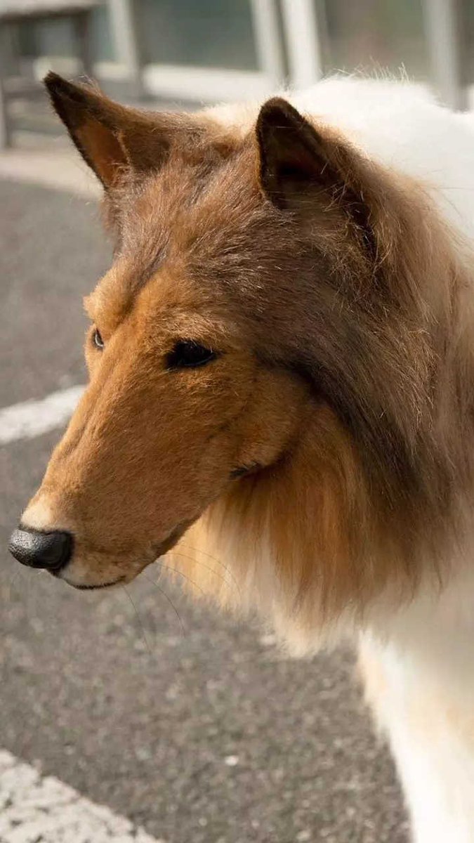 GOSSIP ROOM tweet media