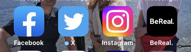 Life as Paula tweet media