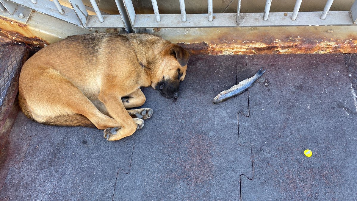 " Yeme de yanında yat" bu olsa gerek.

#avcılar
metrobüs
#sokak