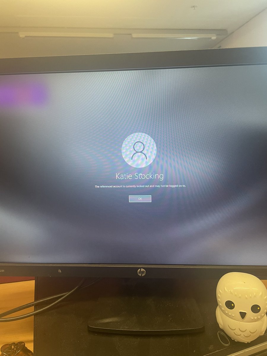 Katie Stocking tweet media