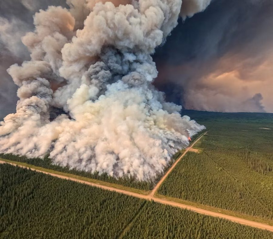 Selvicultura's tweet photo. Amenazas extraordinarias requieren medidas extraordinarias. Fuego técnico a gran escala contra #IncendiosForestales #IIFF 🔥catastróficos. Donnie Creek Complex en 🇨🇦 1 y 2 de Junio 2023. #Helitorch
https://t.co/7D4wCoGP1S https://t.co/gmcepGzY51