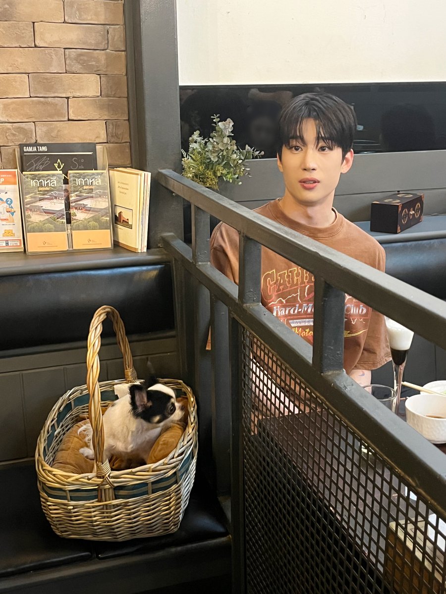 HanSeungWoo_twt's tweet photo. [📸]
한아를 위한 작은 선물🎁
(반려동물 출입 가능한 곳입니다)

#한승우 #HANSEUNGWOO
#한아 #HAN_A https://t.co/AL7x2ZMc25