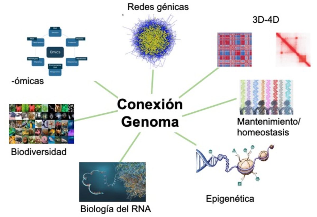Gracias <a href="/CSIC/">CSIC</a> por financiar la Conexión Genoma que coordinan <a href="/GonzalezLab_BCN/">Dr. Josefa González</a> y <a href="/CG_ath/">Crisanto Gutierrez</a>:
- &gt;120 IPs (57% ♂- 43% ♀️)
- 32 centros CSIC
- 2 (INIA-CSIC, IEO-CSIC)
- 20 Universidades y otros centros 
Tenemos numerosas iniciativas que se irán anunciando