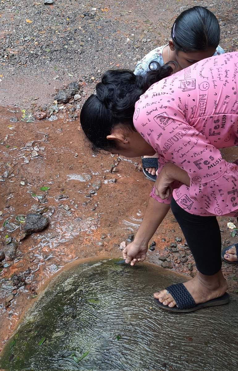 akshathannayak's tweet photo. Sunday fun at Varamballi Gram Panchayat Library, Udupi, observing some monsoon magic - algae &amp; single celled organisms growing around us through @TeamFoldscope! 

@readingkafka @PrakashLab https://t.co/qJGYk2ZVUp