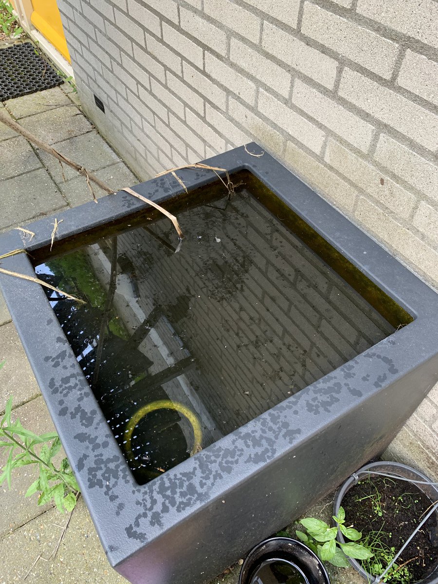 Kim Nelissen tweet media