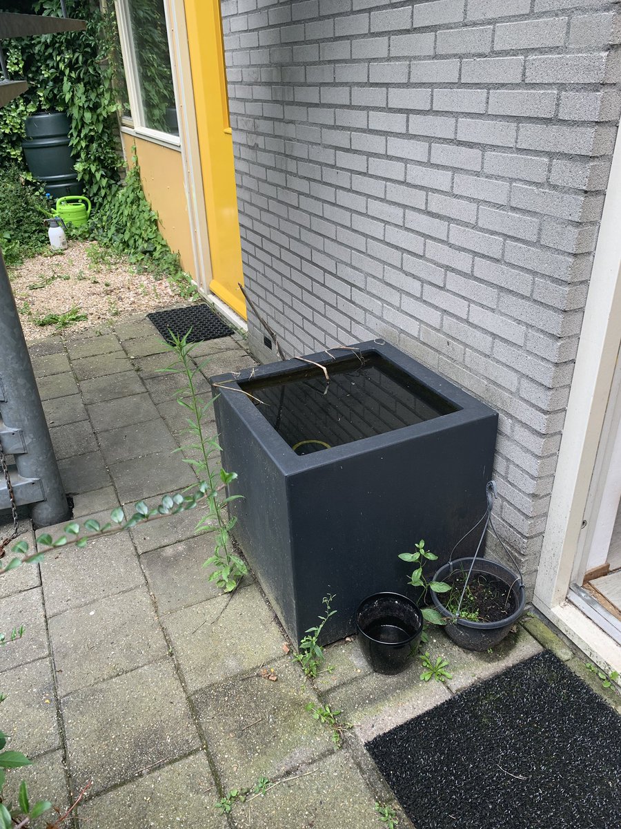 Kim Nelissen tweet media