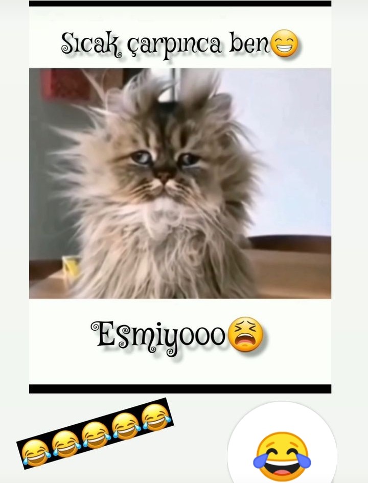 😂😂