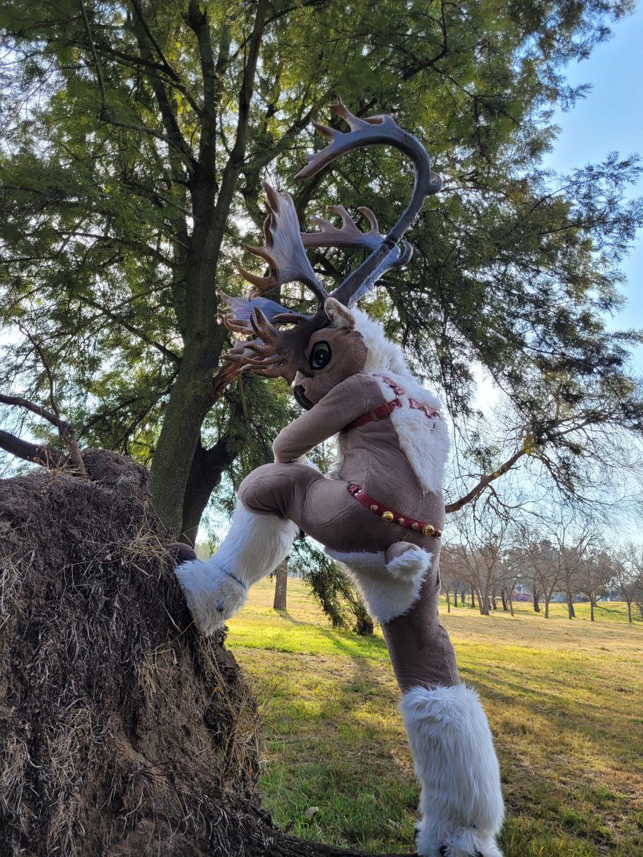 Hurd there is a thing called #ponybuttmonday have a fancy pony pic

📷 @michaelvandenber
📌 Delta park, Randburg, South africa