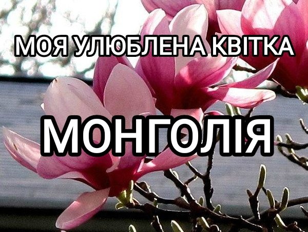 Легендарний мем