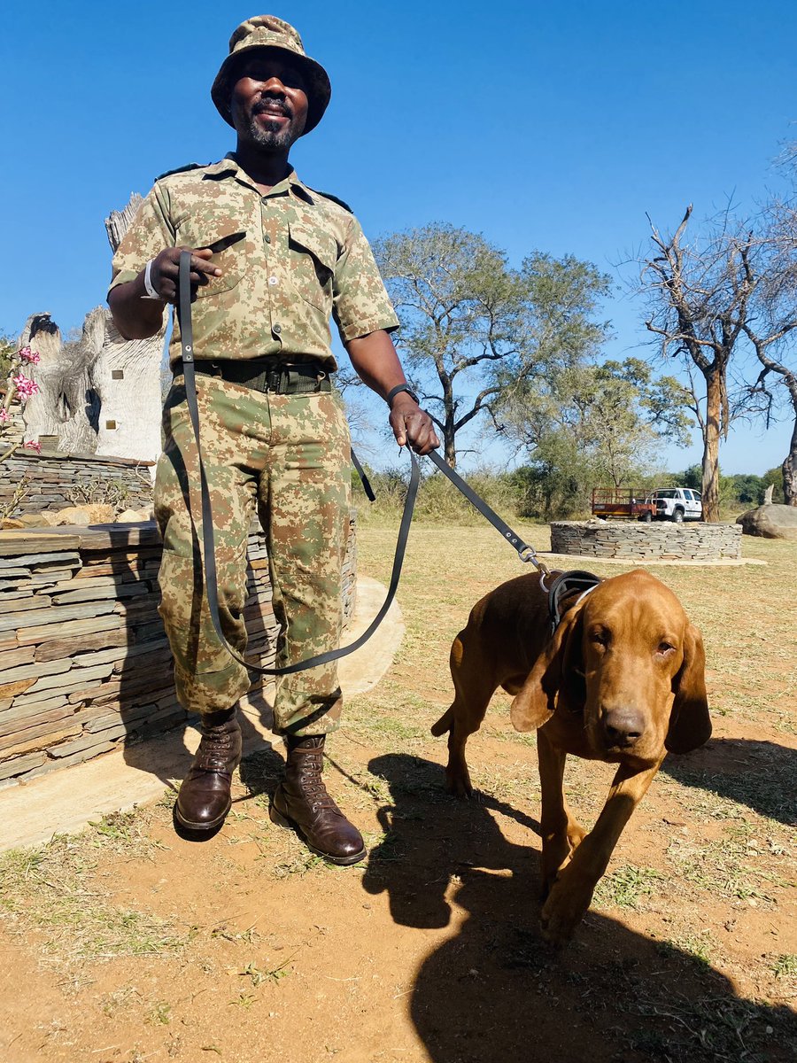 The stars of the day! #Rangers #WorldRangerDay #LiveYourWild