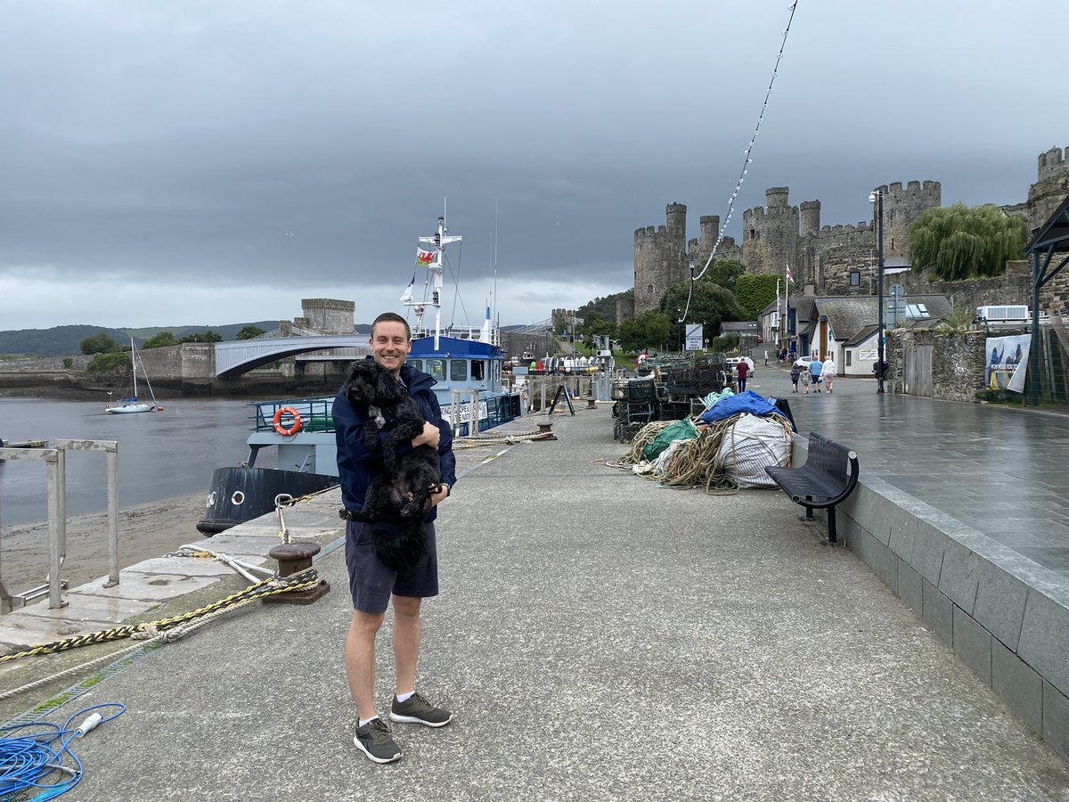 Bridget Elliott tweet media