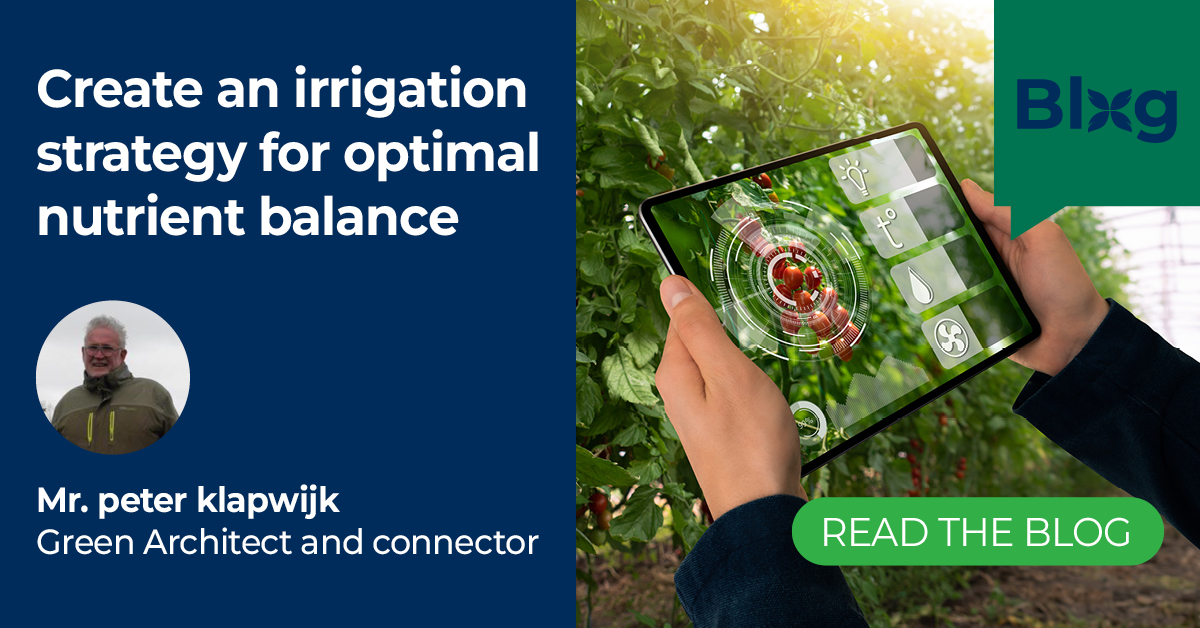 PaskalSolutions's tweet image. Is your #irrigationstrategy built for #optimalnutrientbalance? 

In our latest blog, Green Architect Peter Klapwijk discusses how to ensure your #greenhouse plants get the #nutrients they need for #optimalyield. 
Read it here: paskal-group.com/irrigation-str…